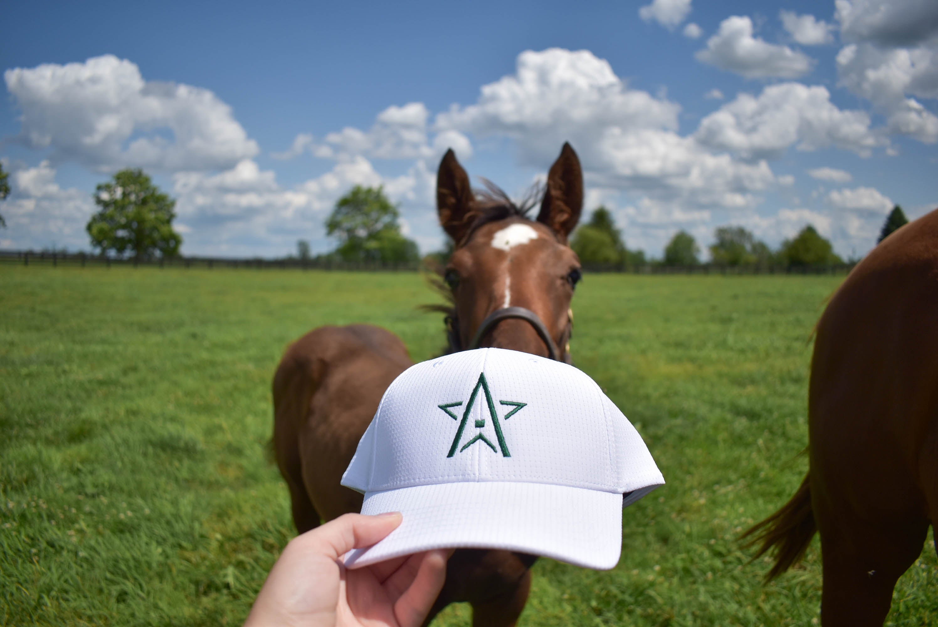 Grid Hat