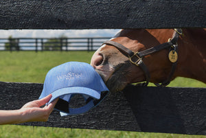 Grid Hat