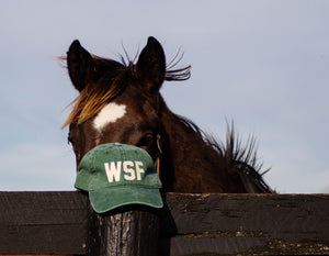 WSF Hat