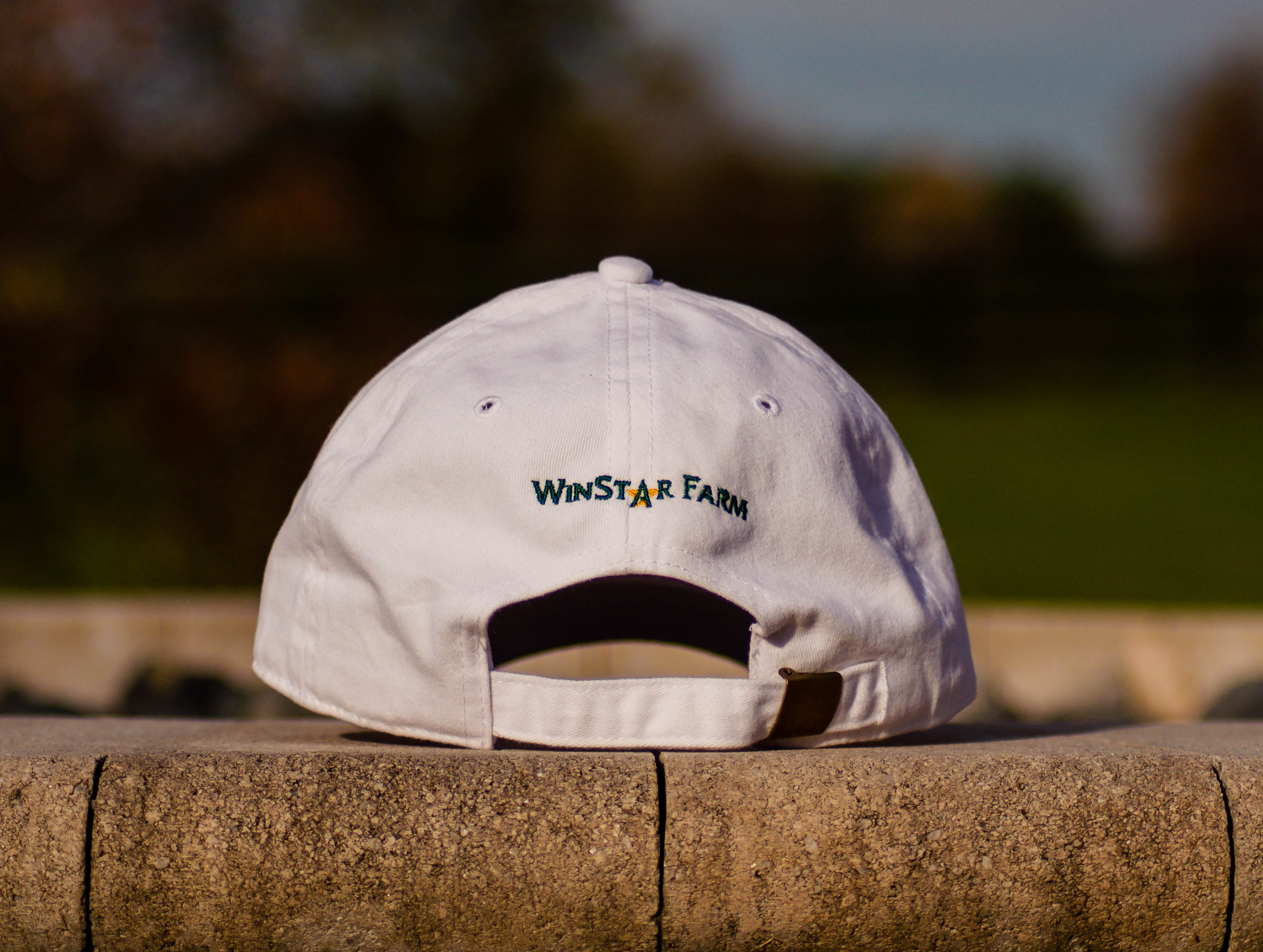 WSF Hat